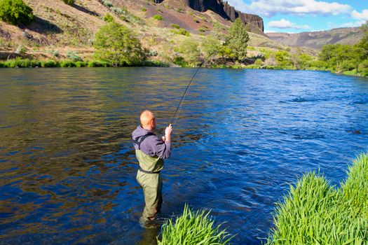 An experienced fly fisherman wades in the water while fly fishing the Deschutes River in Oregon.