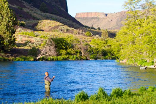 An experienced fly fisherman wades in the water while fly fishing the Deschutes River in Oregon.