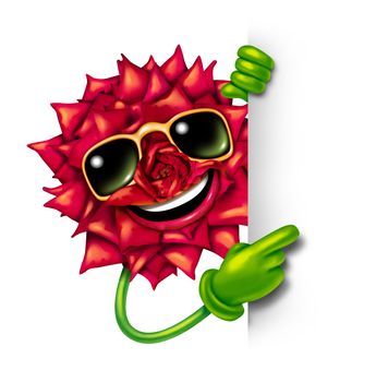 Florist flower sign with a fun smiling happy red rose character wearing sunglasses and pointing with green arms and hands to a blank sign as a concept of beauty of nature and plants business promotion.