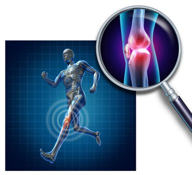 Sports knee injury with a running athlete showing the anatomical skeleton with a red highlight on the knee magnified with a magnifying glass as a symbol of body joint pain.