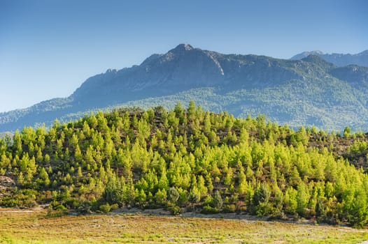 Green hill against mountaintop