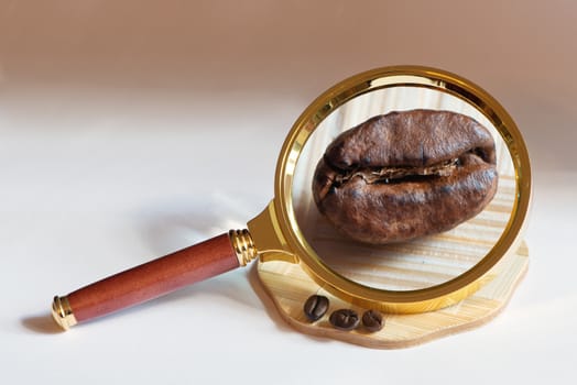 The fried grains of coffee on a large scale increases under magnifying glass