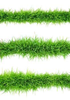 Top view of grass on white background