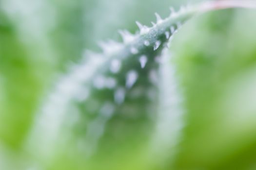 Abstract Closeup Background