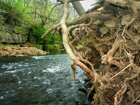 Erosion undercuts the Apple River bank in northern Illinois.