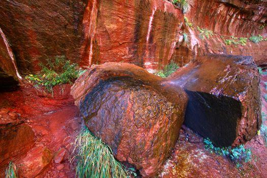 Vivid red rocks along the Emerald Pool Trail of Zion National Park.