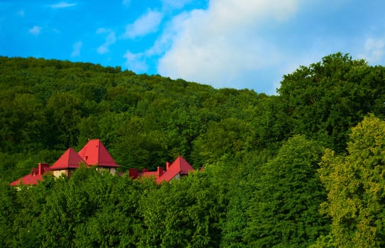 Roof of a house in the Carpathian mountains