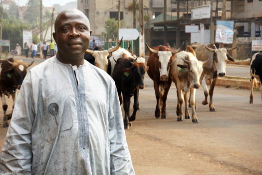 African cattle farmer or herdsman leading his herd of cows on a busy city street