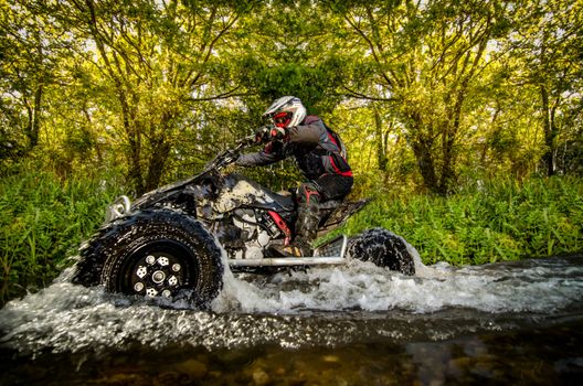 Quad rider through water stream in the forest.