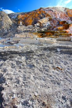 Terraces of Mammoth Hot Springs in Yellowstone National Park.
