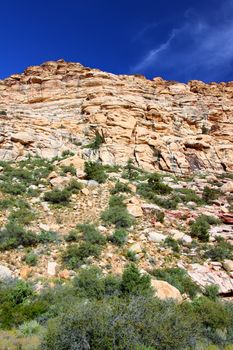 Red Rock Canyon National Conservation Area is located just west of Las Vegas in Nevada.