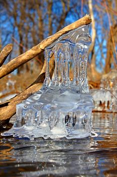 Natural ice sculptures along the Kishwaukee River in northern Illinois.