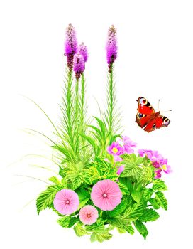 Summer flowers, green leaves and butterfly. Isolated over white