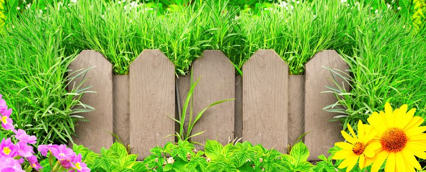 Summer background with old wooden fence and green grass