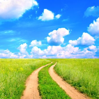 Rural summer landscape with old road