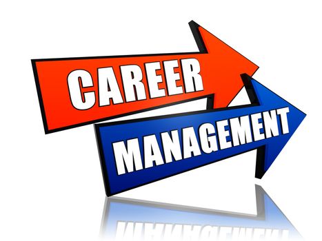 career management - text in 3d arrows, business profession growth concept
