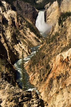 Yellowstone Falls and Canyon, Yellowstone National Park, Wyoming