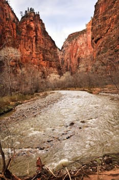 Virgin River Red Rock Canyon Zion National Park Utah Southwest