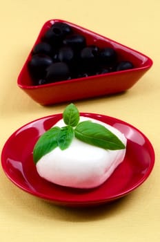 Italian mozzarella cheese with basil on a plate.