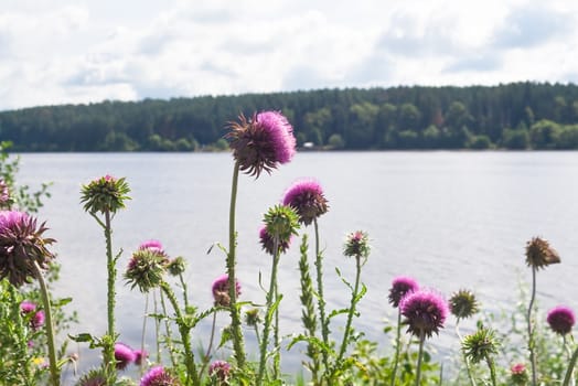 The Volga River near the town of Dubna