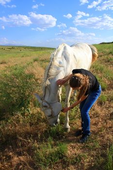 veterinary woman controling horse health and examination