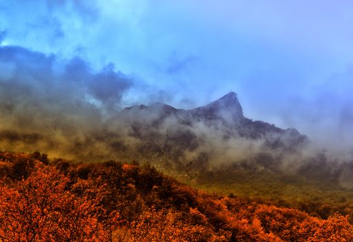 Madonna of Lambro mountain with cross on top shrouded by clouds in the background, in the foreground the autumn vegetation watered by the rays of the sun.