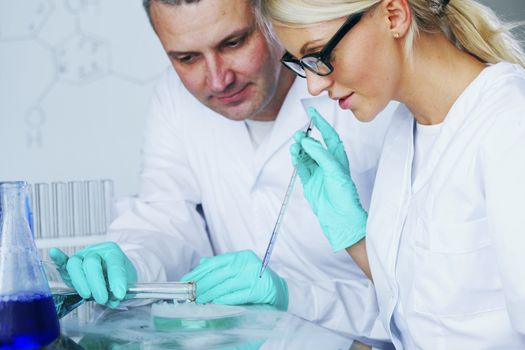 Chemistry Scientist conducting experiments in laboratory