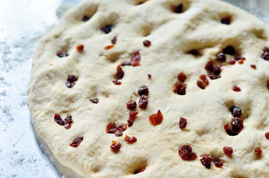 Homemade raisin bread dough