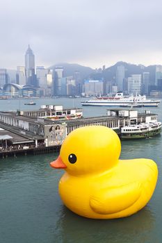 HONG KONG - MAY 6 : Giant Rubber Duck floating in Victoria Harbor on May 6, 2013 in Hong Kong. Created by Florentijn Hofman and it's playful presence revive the happiness of life's simple pleasures.