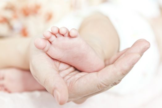 New born baby feet and mother hands