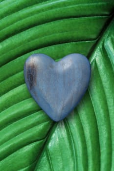 Photo of a blue wood heart on top of a tropical plant background.
