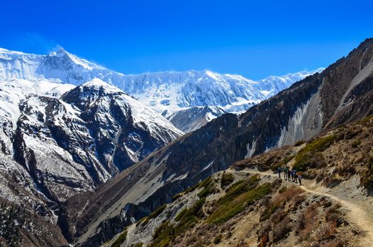 Group of mountain trekkers backpacking in Himalayas landscape, Nepal