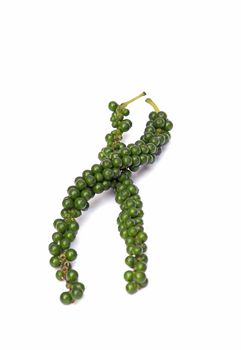 Fresh green peppercorns on white background