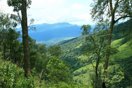 Mountains and tropical rain forest in Thailand