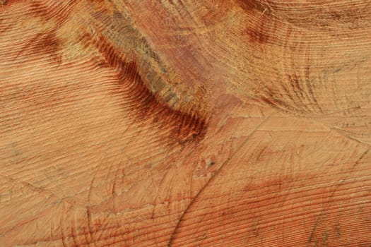 Wood texture