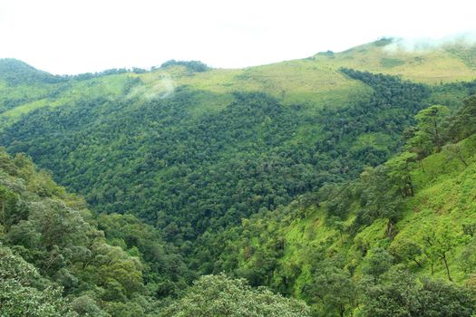 Mountains and tropical rain forest in Thailand