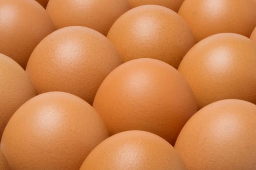 Close up chicken eggs in tray