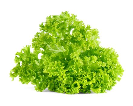 Fresh green lettuce salad isolated on white background.