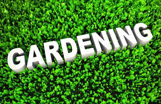 Gardening the Practice of Growing Plants in 3D