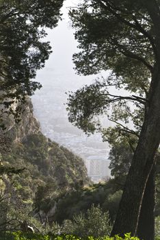 protected reserve of Mount Pilgrim, palermo