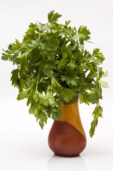 green parsley stuck in the pot for this cool