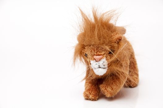 funny stuffed animal to decorate the shelves