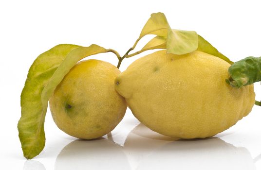 yellow sicilian fresh lemons isolated on a white background
