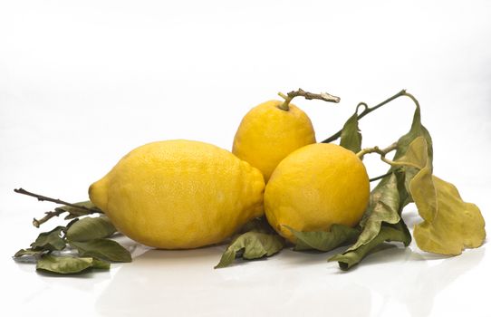 yellow sicilian fresh lemons isolated on a white background