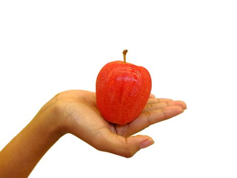 Woman holding red apple with a white background. Woman holding red apple with a white background.