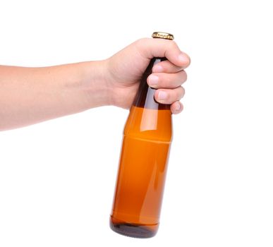 One beer bottle in a hand on the white background