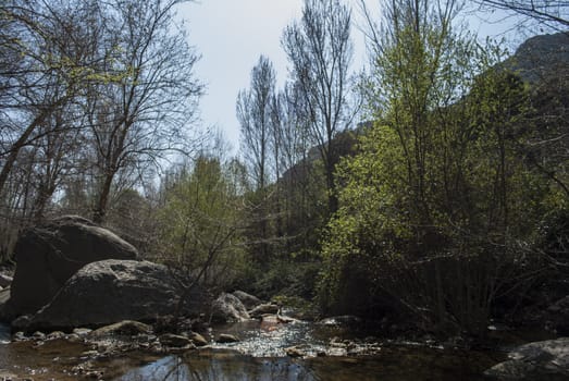 landscape with river in Rupit