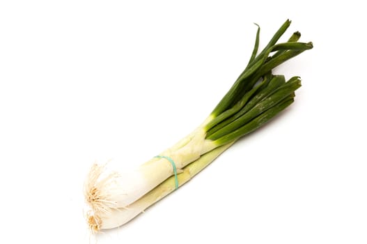 large onions on white background