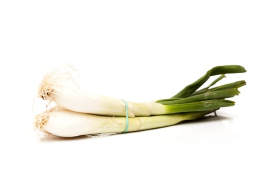 large onions on white background