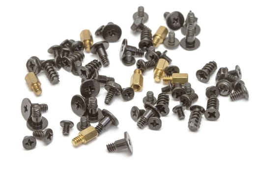 Metallic screws on white background